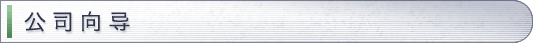 公司向导